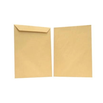 635e0a9e82f25.webp